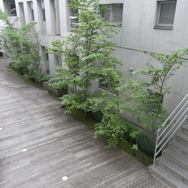 a0169150_2303937.jpg