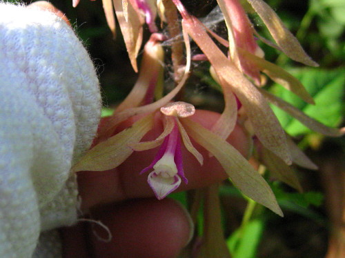 c0179351_22194773.jpg