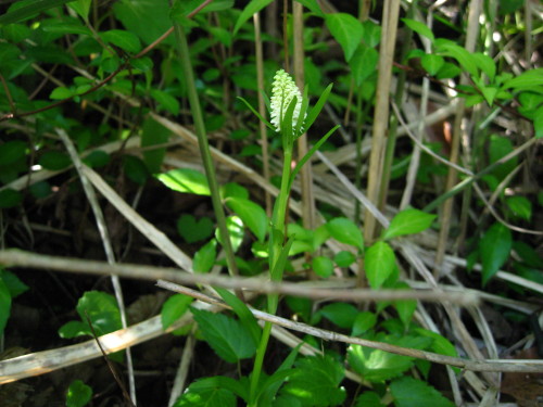 c0179351_22203896.jpg