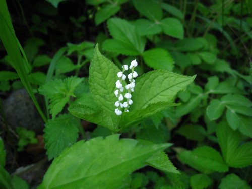 c0179351_2222490.jpg