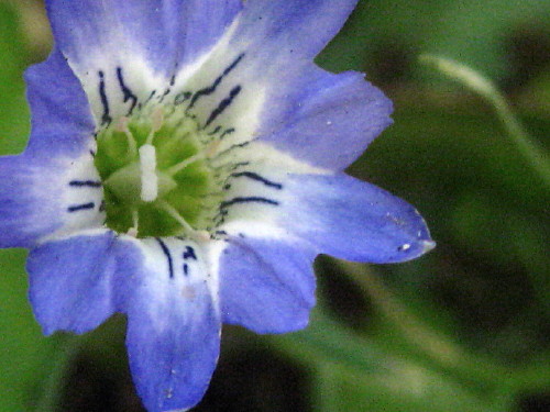c0179351_22301086.jpg