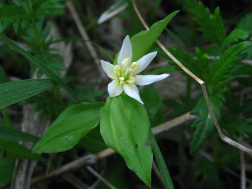 c0179351_2230346.jpg