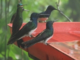 f0204553_8504592.jpg