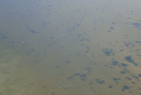 e0083155_1559573.jpg