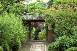 f0214858_20562864.jpg