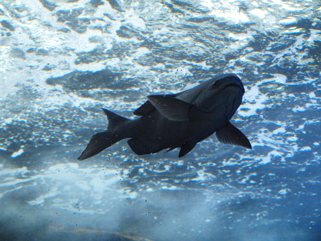 f0213960_16365387.jpg