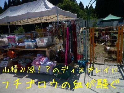 f0177261_181392.jpg