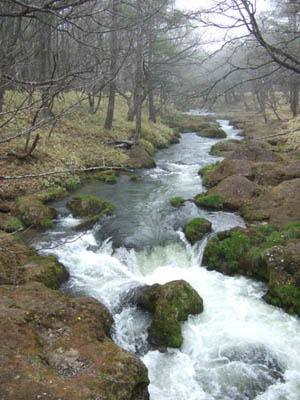 c0011862_22275139.jpg