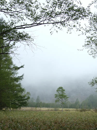 c0011862_228512.jpg