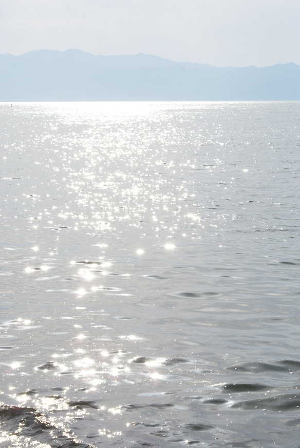 d0153864_847598.jpg