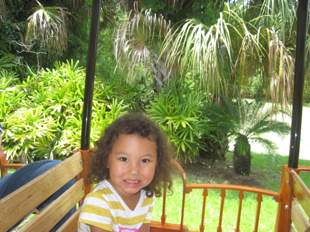 f0132366_15362823.jpg