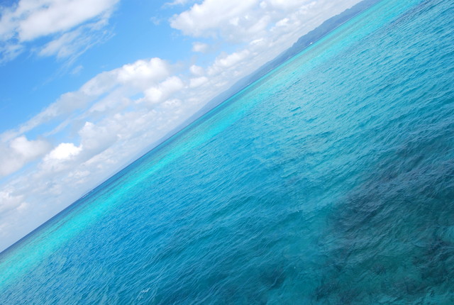 b0174068_22211384.jpg