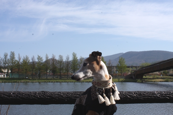 b0069169_028497.jpg