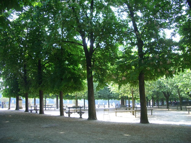 f0229275_16264375.jpg