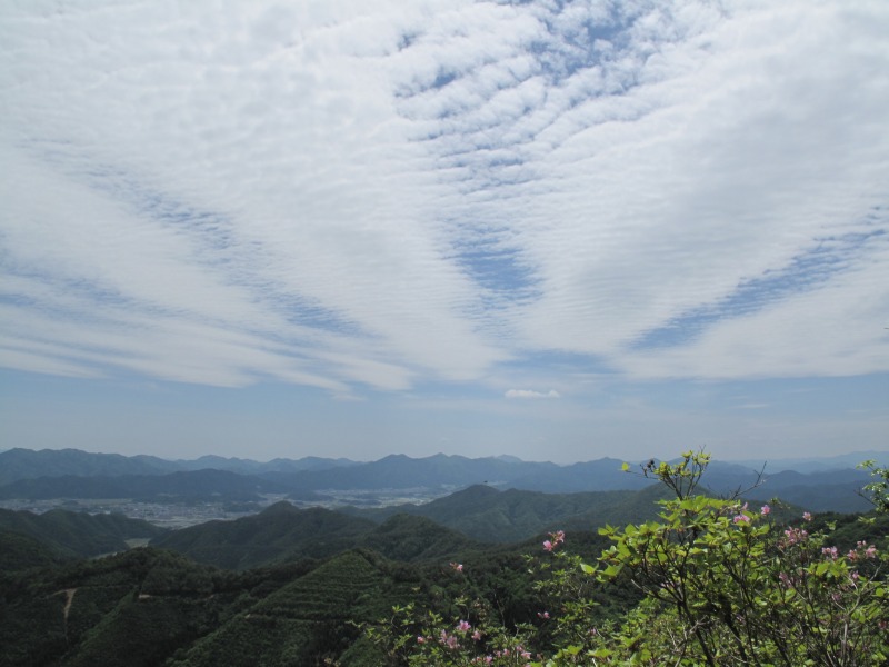 a0004180_15404914.jpg