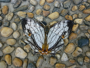 f0221382_100233.jpg