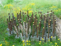 f0221382_101344.jpg