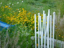 f0221382_1014465.jpg
