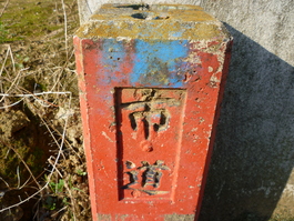 f0221382_948365.jpg