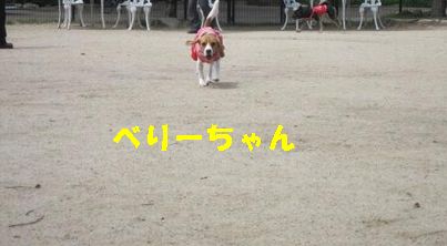 a0137294_14162923.jpg