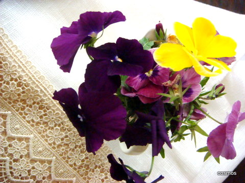 f0137694_23442631.jpg