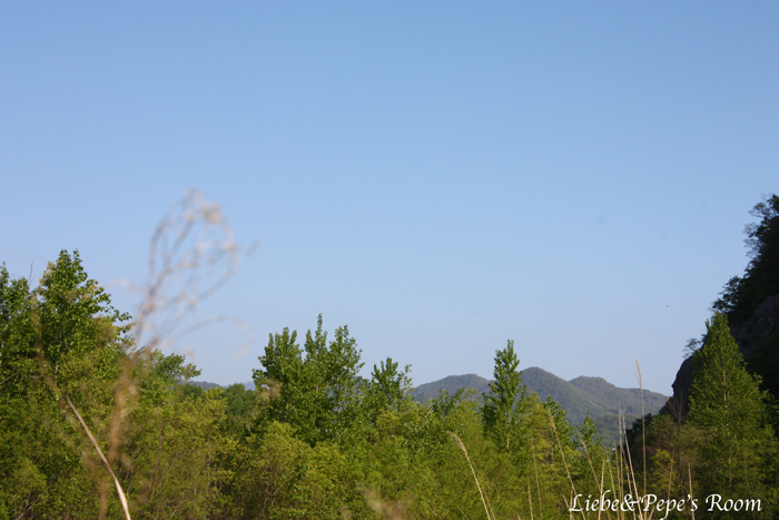 f0001895_13254277.jpg