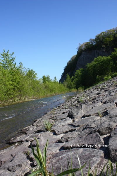 f0001895_13522866.jpg