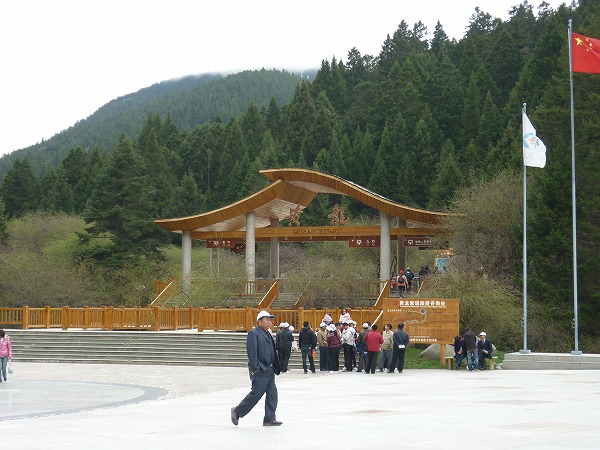 e0157999_23235617.jpg