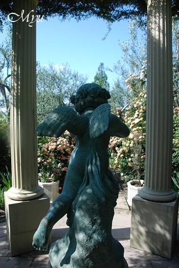 d0064000_194425.jpg
