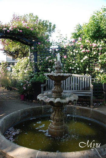 d0064000_1953584.jpg