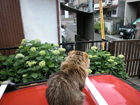 f0239100_150423.jpg