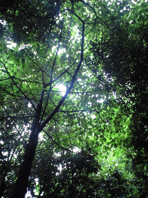 b0083902_21281795.jpg