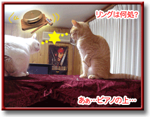 b0147203_18162769.gif