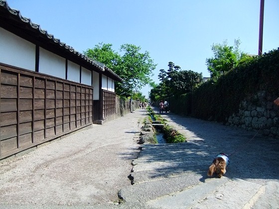 c0228404_16174142.jpg