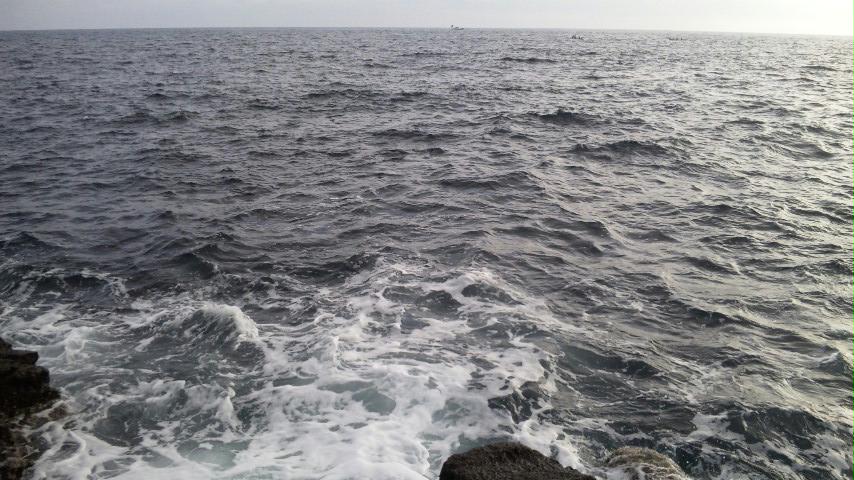 f0035404_21305717.jpg