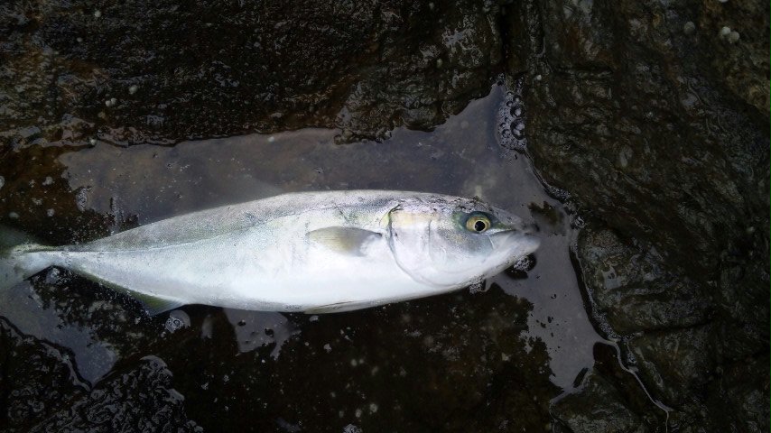 f0035404_21305770.jpg
