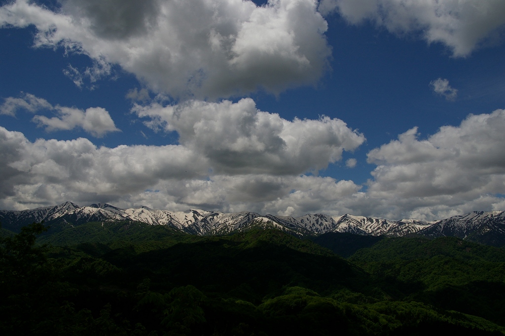 b0050305_033579.jpg