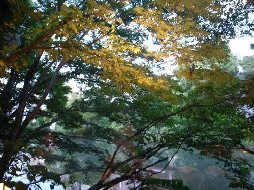f0028505_162438.jpg