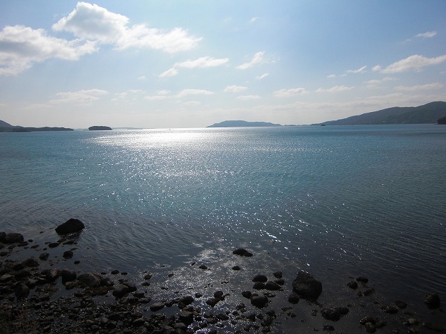 a0060806_1652719.jpg