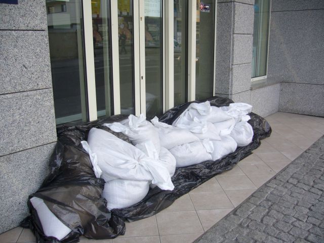 e0039206_203762.jpg
