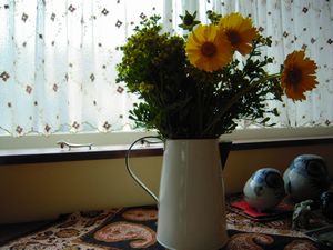 d0078311_1371668.jpg