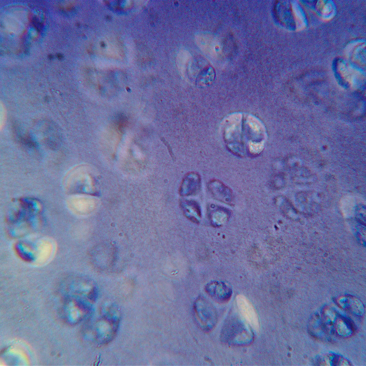 e0142611_21142916.jpg