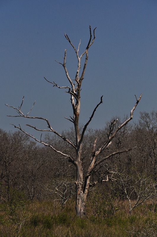 f0213613_19153319.jpg