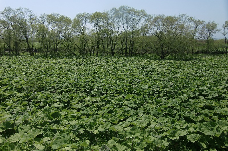 f0213613_1923379.jpg