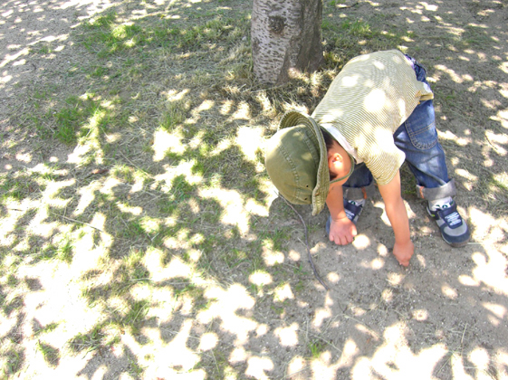 c0226214_655510.jpg