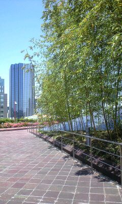 c0007115_18215335.jpg