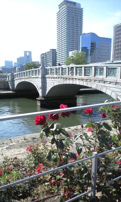 c0007115_18215366.jpg