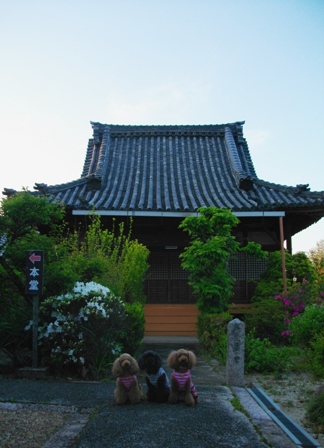 e0119017_13195520.jpg
