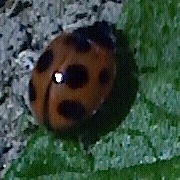 a0118120_9483851.jpg