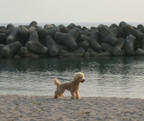 c0060920_22181443.jpg